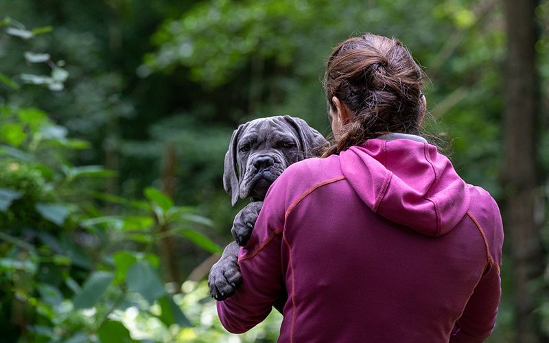 Heilpraktikerin für Hunde